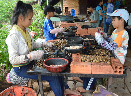 Method of peeling cashew nuts