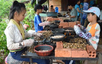 Method of peeling cashew nuts